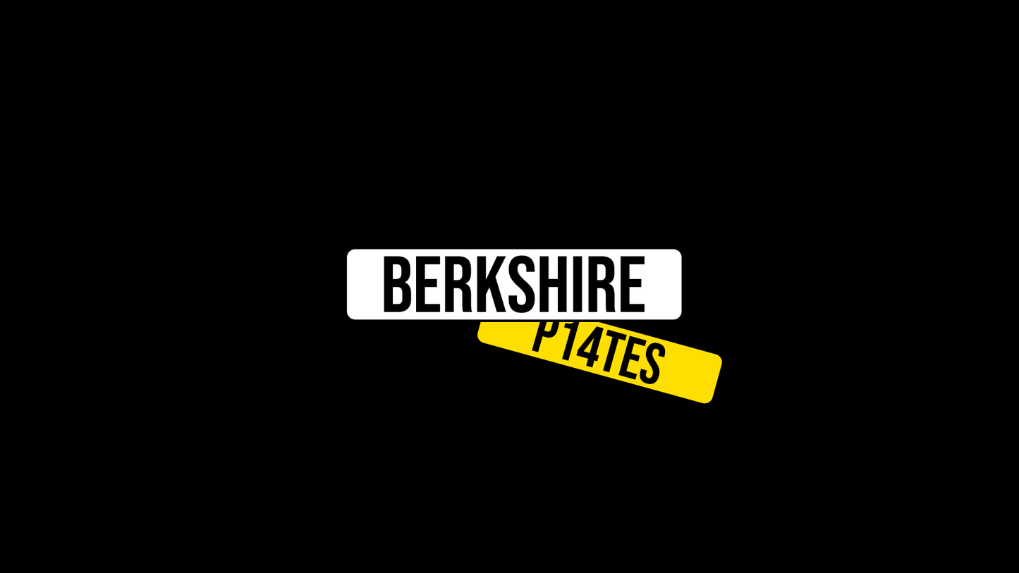 Premium 4D 3MM Acrylic Plates (Pair)